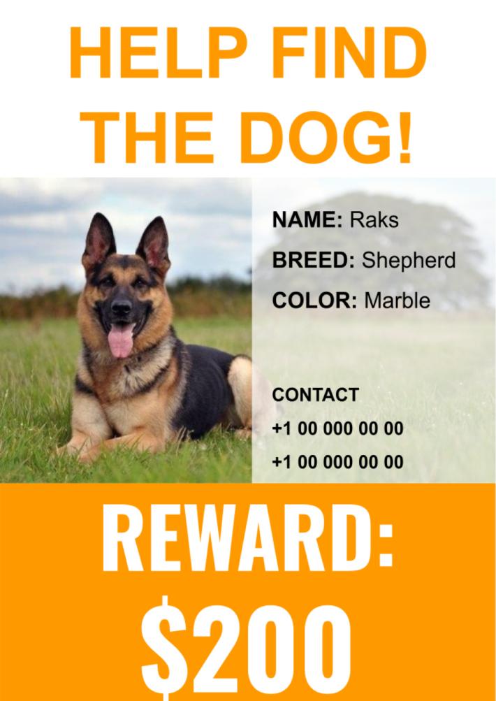 Lost Dog Template