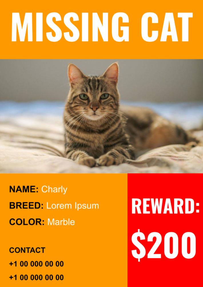 Lost Cat Template