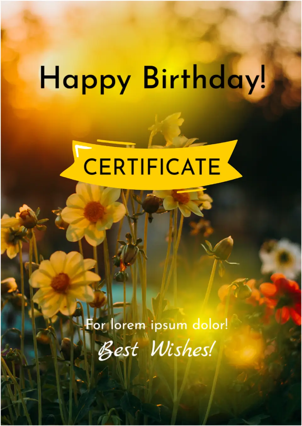 Template For Birth Certificate
