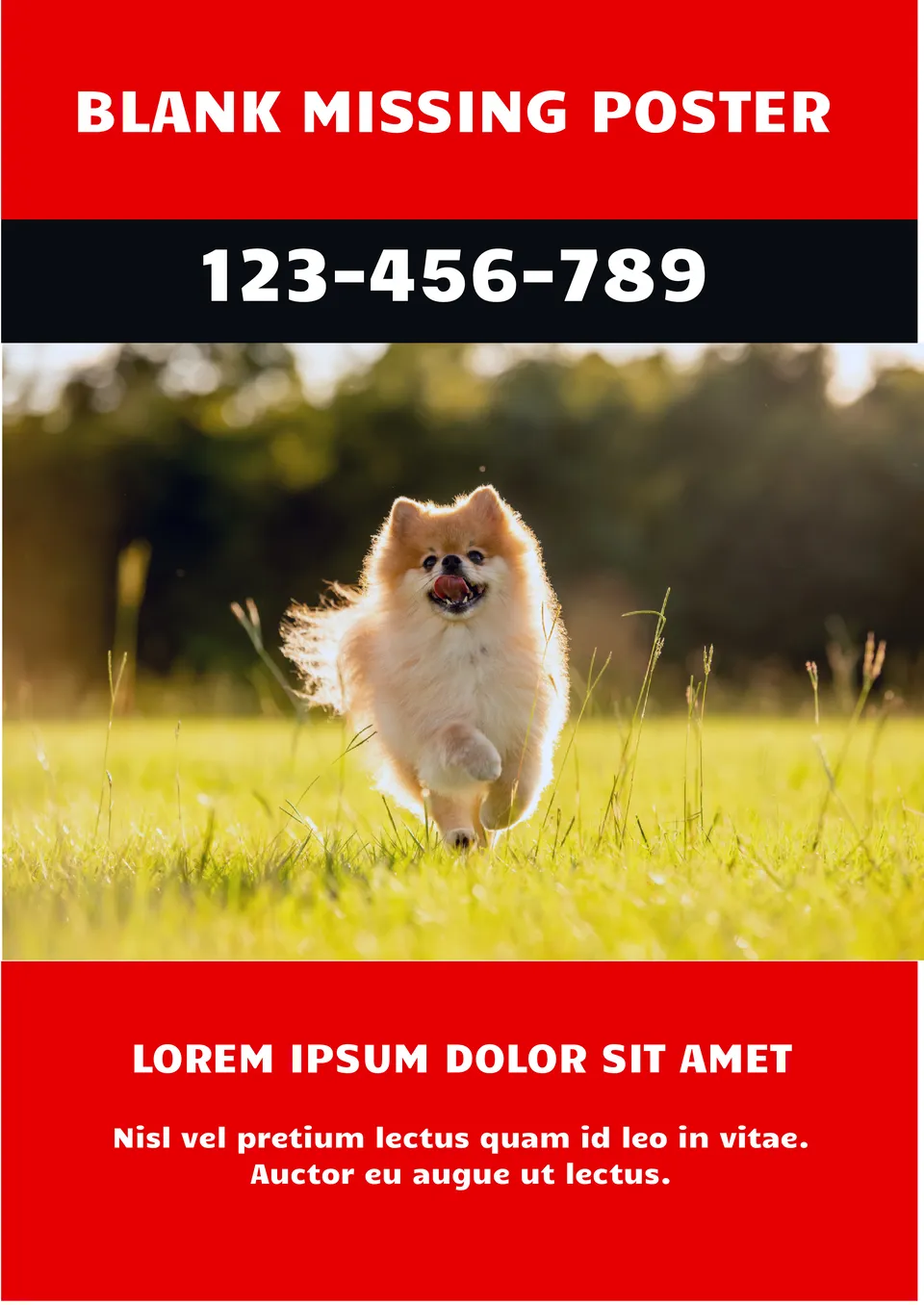 Blank Missing Poster Template