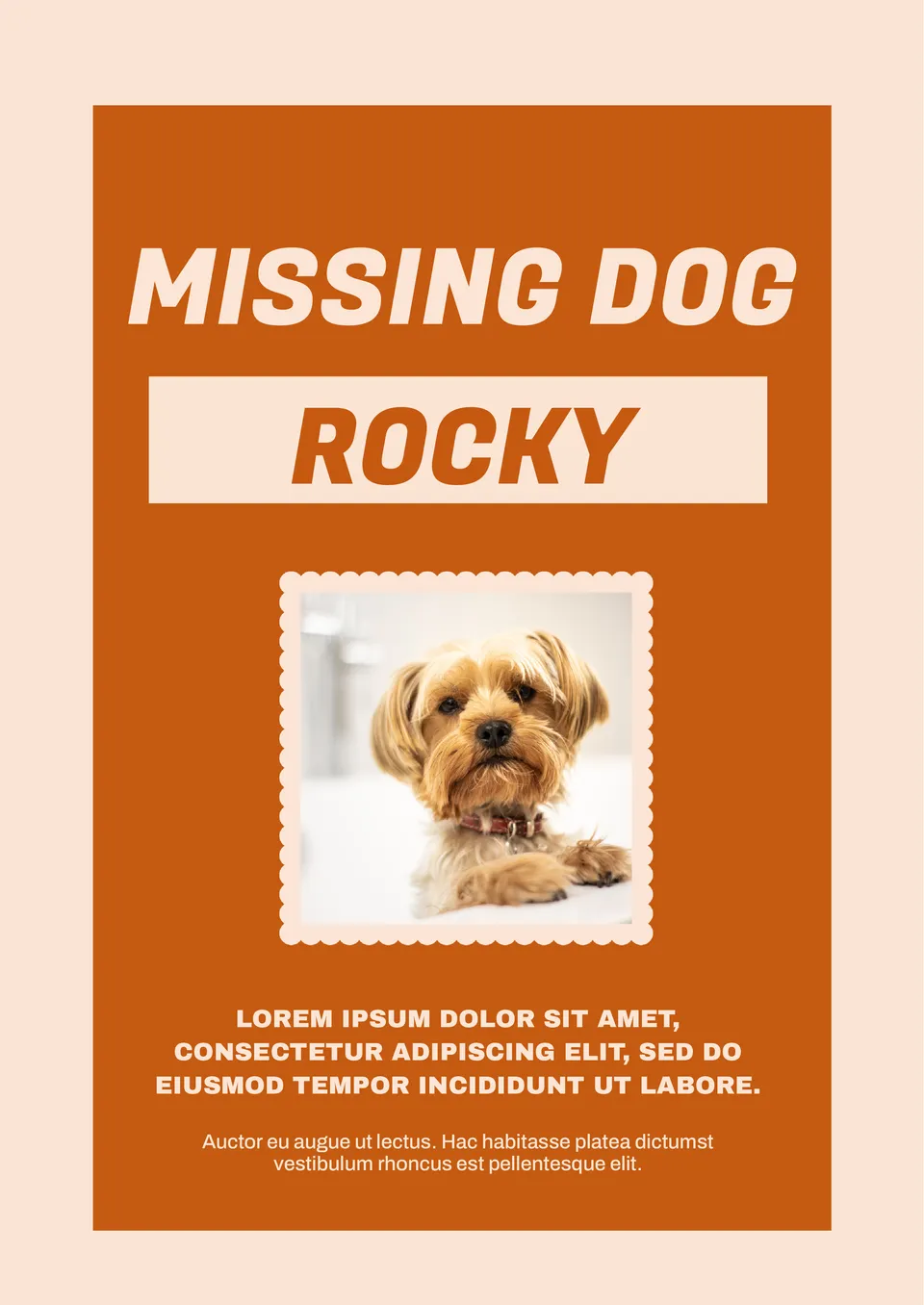 Missing Animal Template