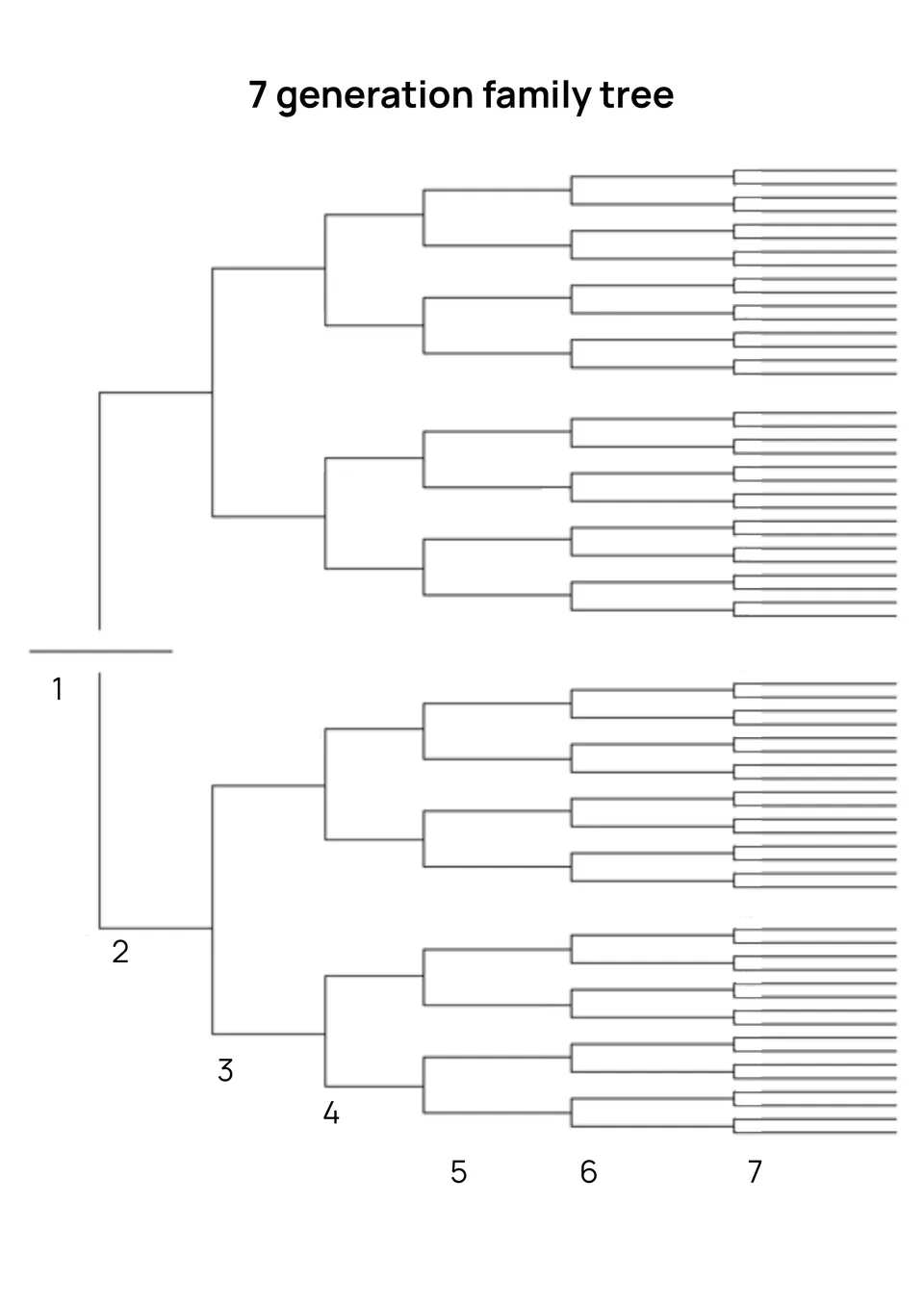 7 Generation Family Tree Template