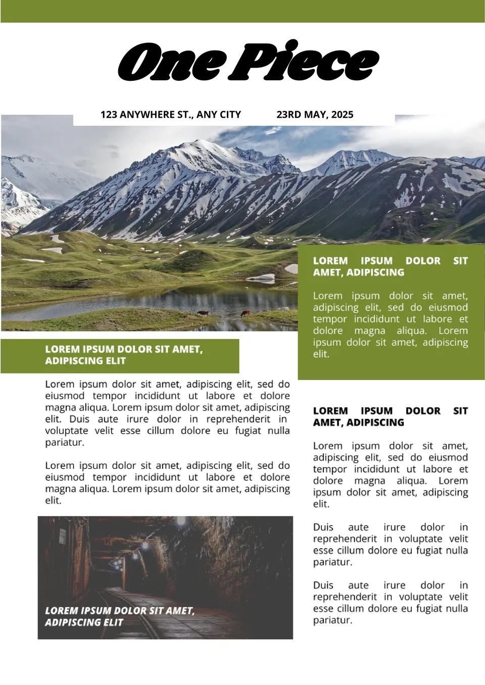 One Piece Newspaper Template