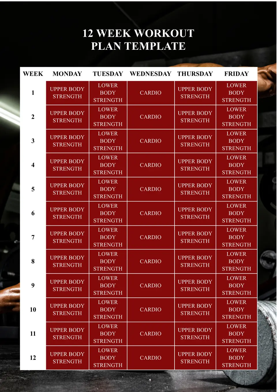 12 Week Workout Plan Template