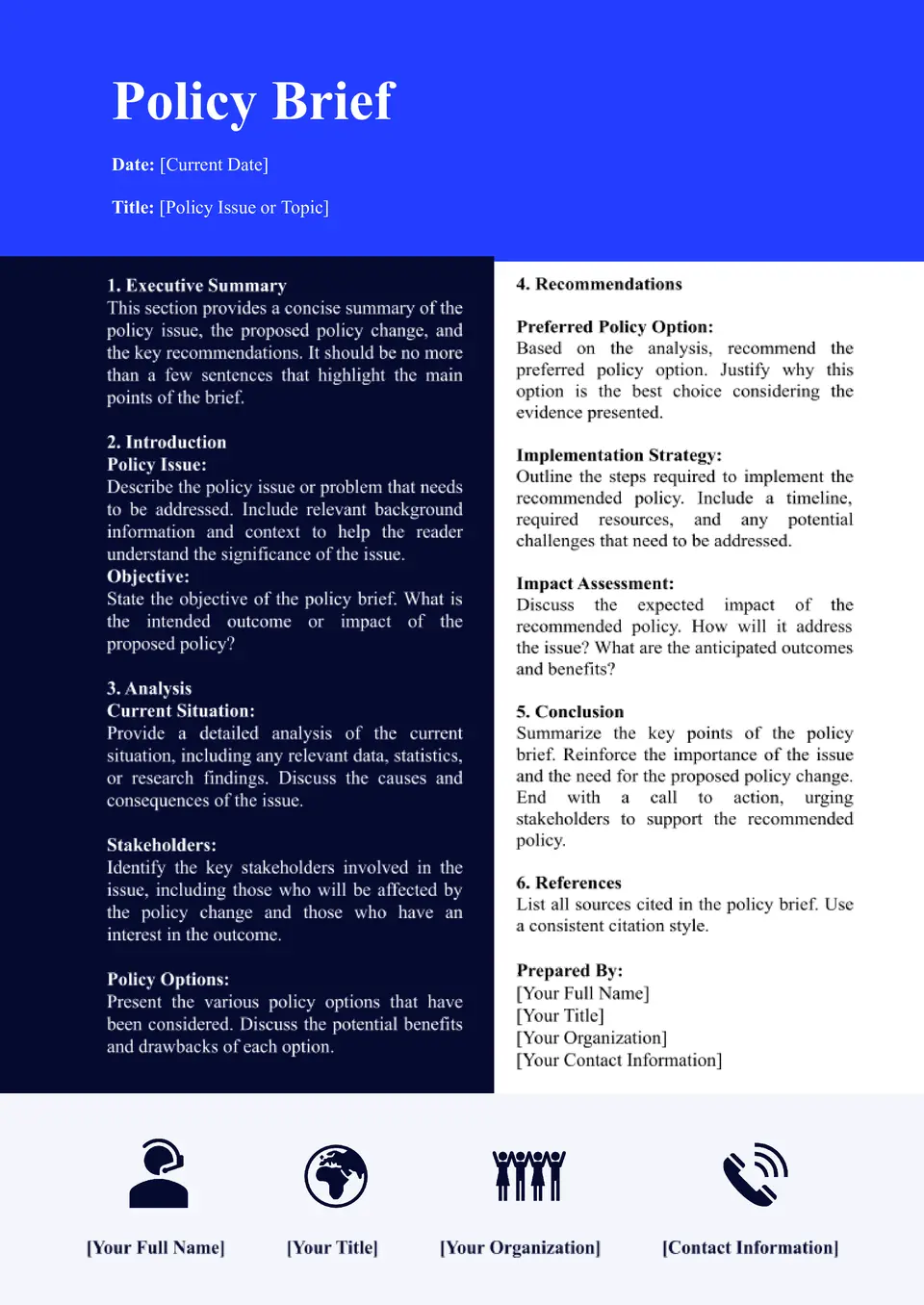 Policy Brief Template