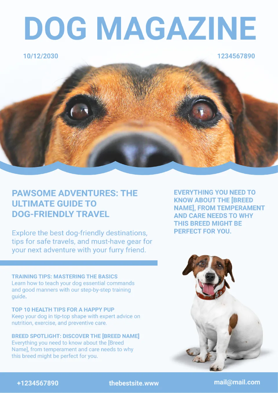 Dog Magazine Template