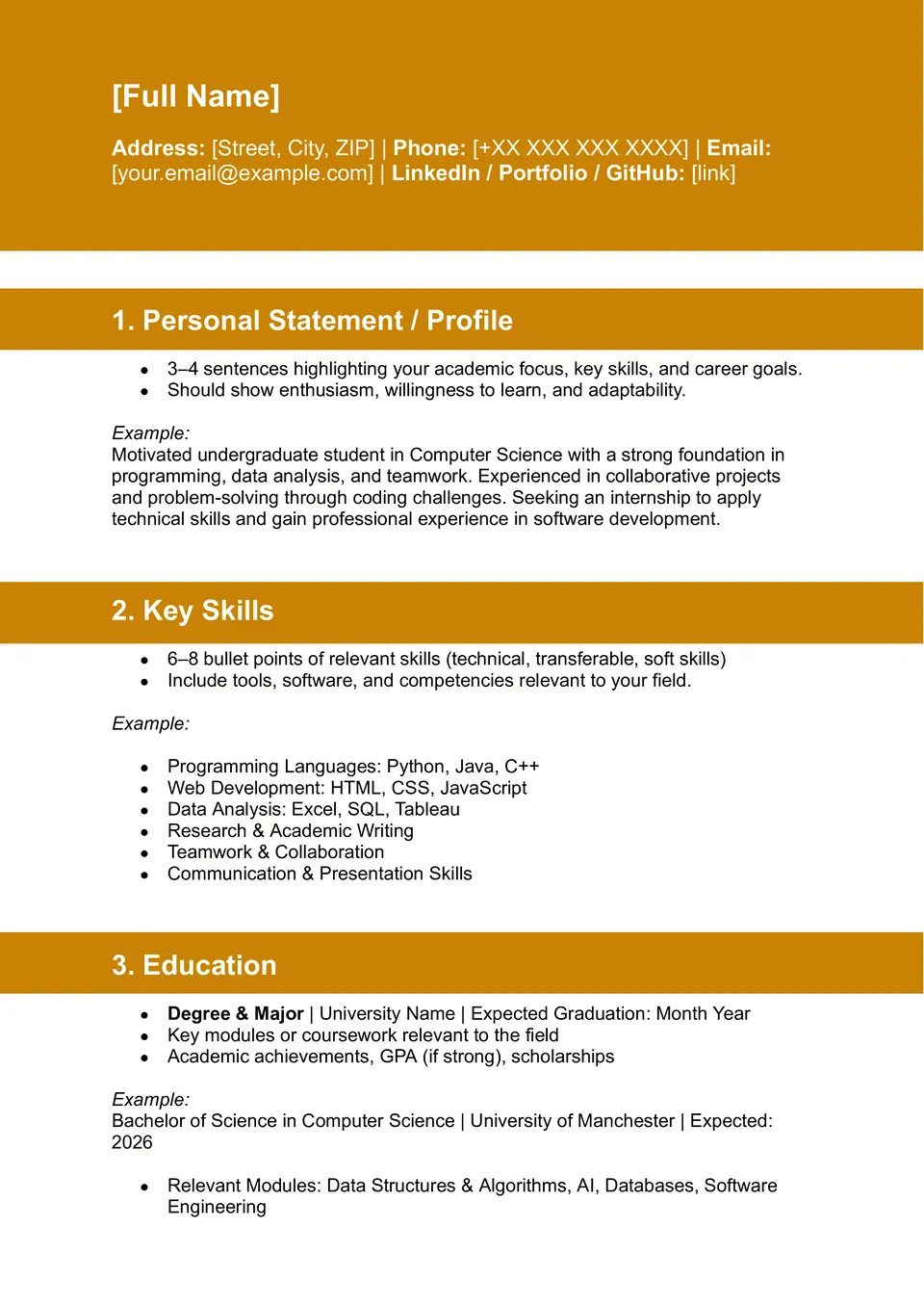 Undergrad CV Template